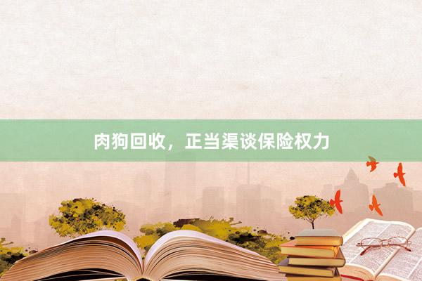肉狗回收，正当渠谈保险权力