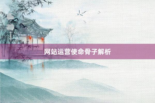 网站运营使命骨子解析