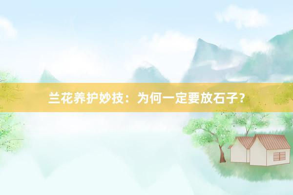 兰花养护妙技：为何一定要放石子？